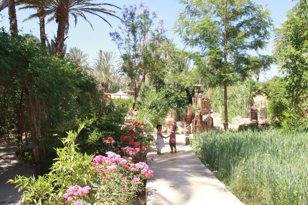 Ecolodge Bab El Oued Maroc Oasis 아그데즈 외부 사진