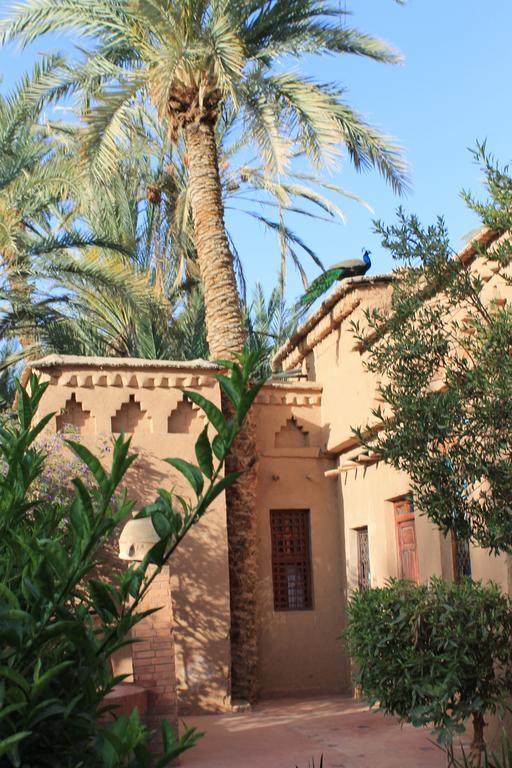 Ecolodge Bab El Oued Maroc Oasis 아그데즈 객실 사진