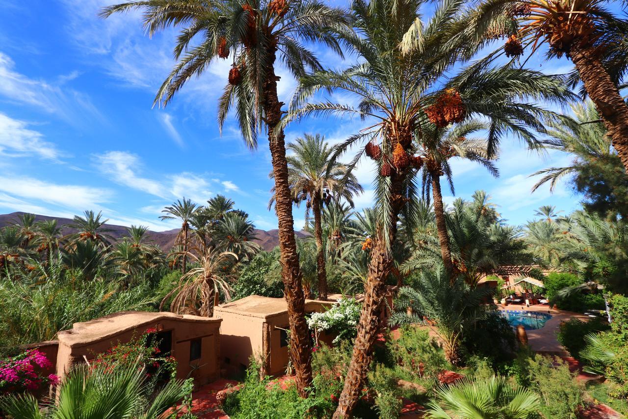 Ecolodge Bab El Oued Maroc Oasis 아그데즈 외부 사진