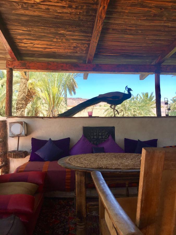 Ecolodge Bab El Oued Maroc Oasis 아그데즈 외부 사진