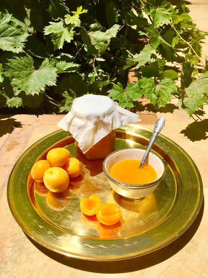 Ecolodge Bab El Oued Maroc Oasis 아그데즈 외부 사진