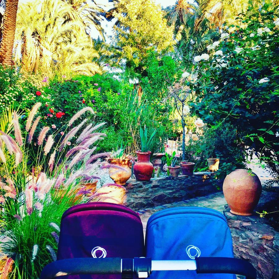 Ecolodge Bab El Oued Maroc Oasis 아그데즈 외부 사진